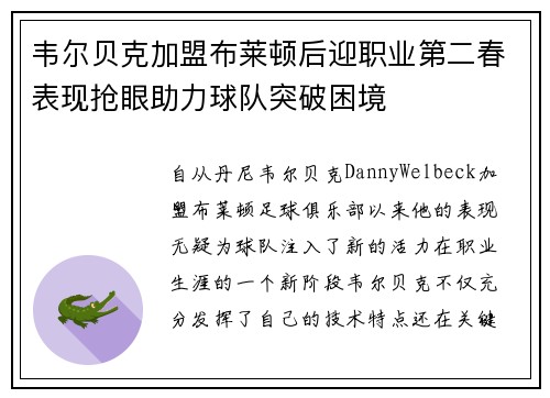 韦尔贝克加盟布莱顿后迎职业第二春表现抢眼助力球队突破困境